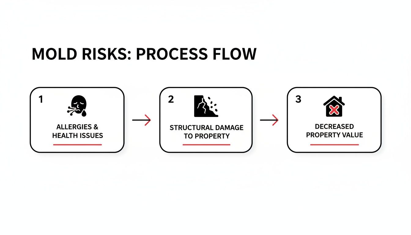 A process flow diagram illustrating mold risks: allergies, structural damage, and decreased property value.
