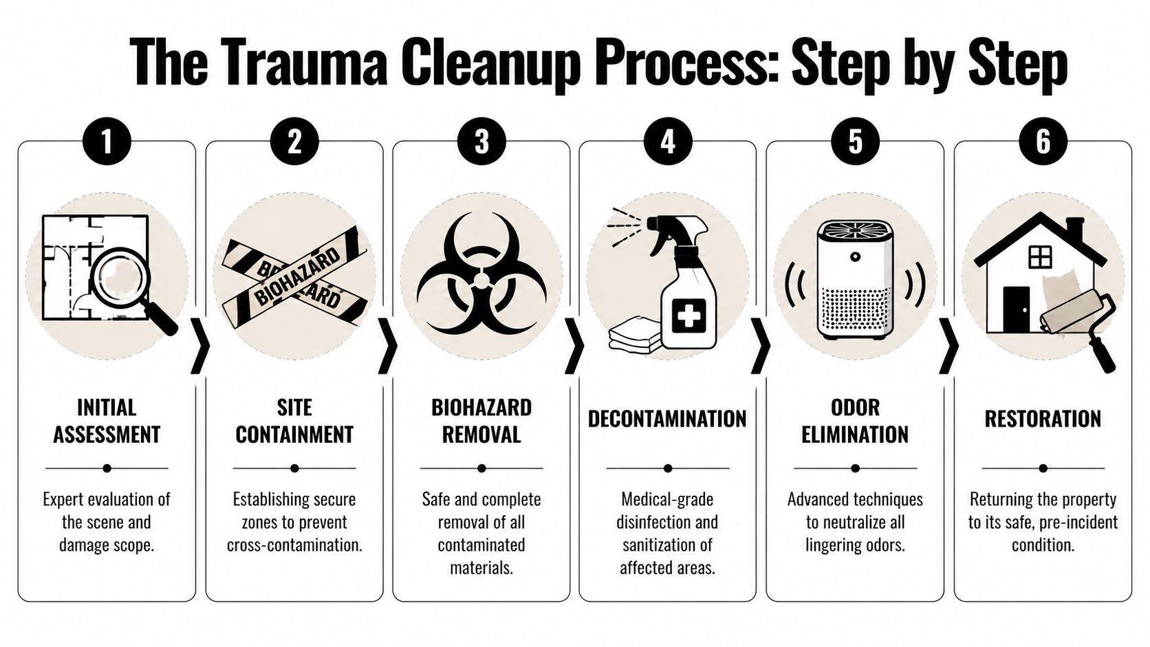 A six-step infographic detailing the professional trauma cleanup process from initial assessment to final property restoration.