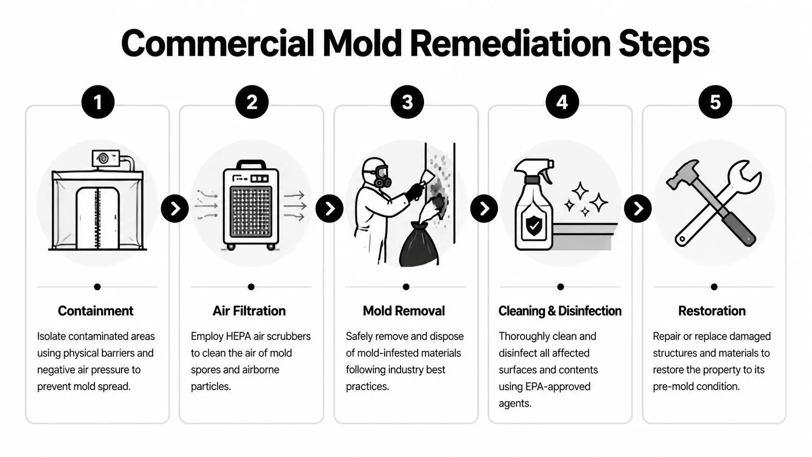 A five-step infographic showing the commercial mold remediation process, from initial containment to final property restoration.