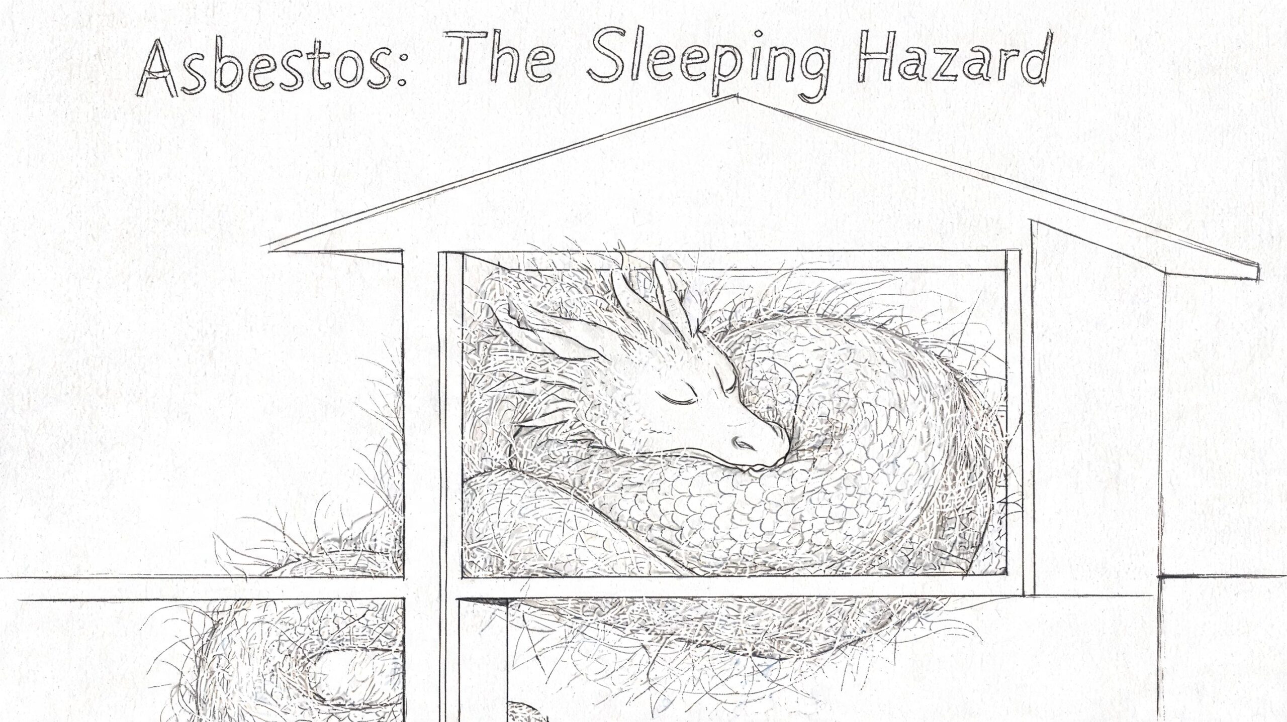 A pencil drawing of a sleeping dragon inside a house representing asbestos as a hidden danger.