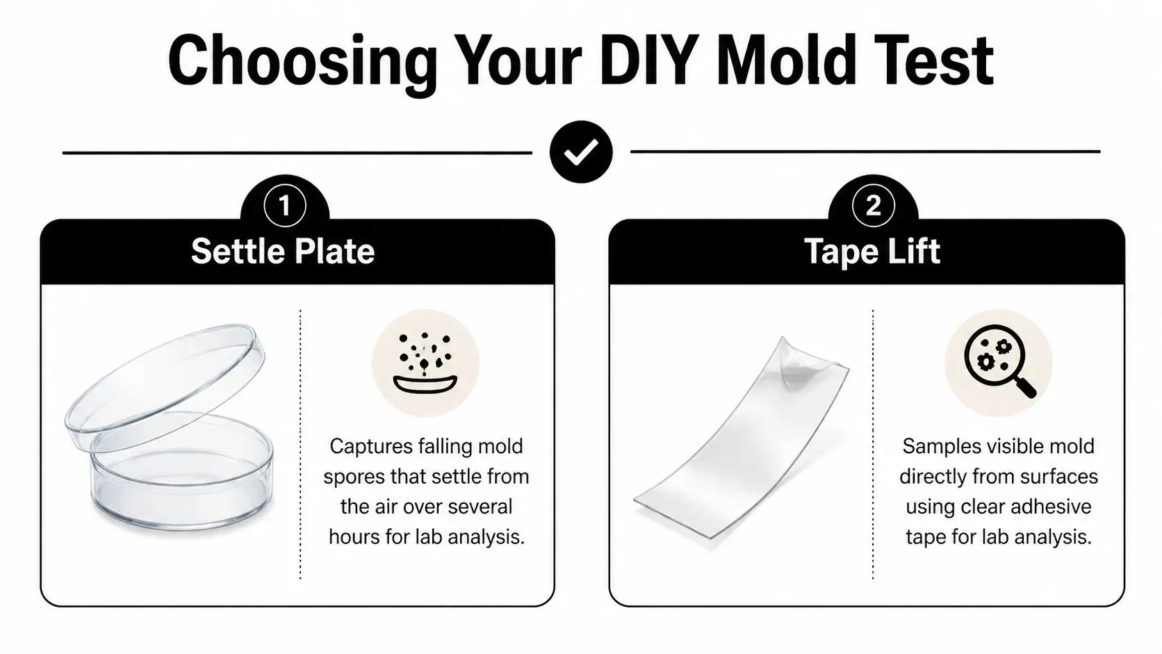 An infographic showing two DIY mold testing methods, a settle plate and a tape lift test.