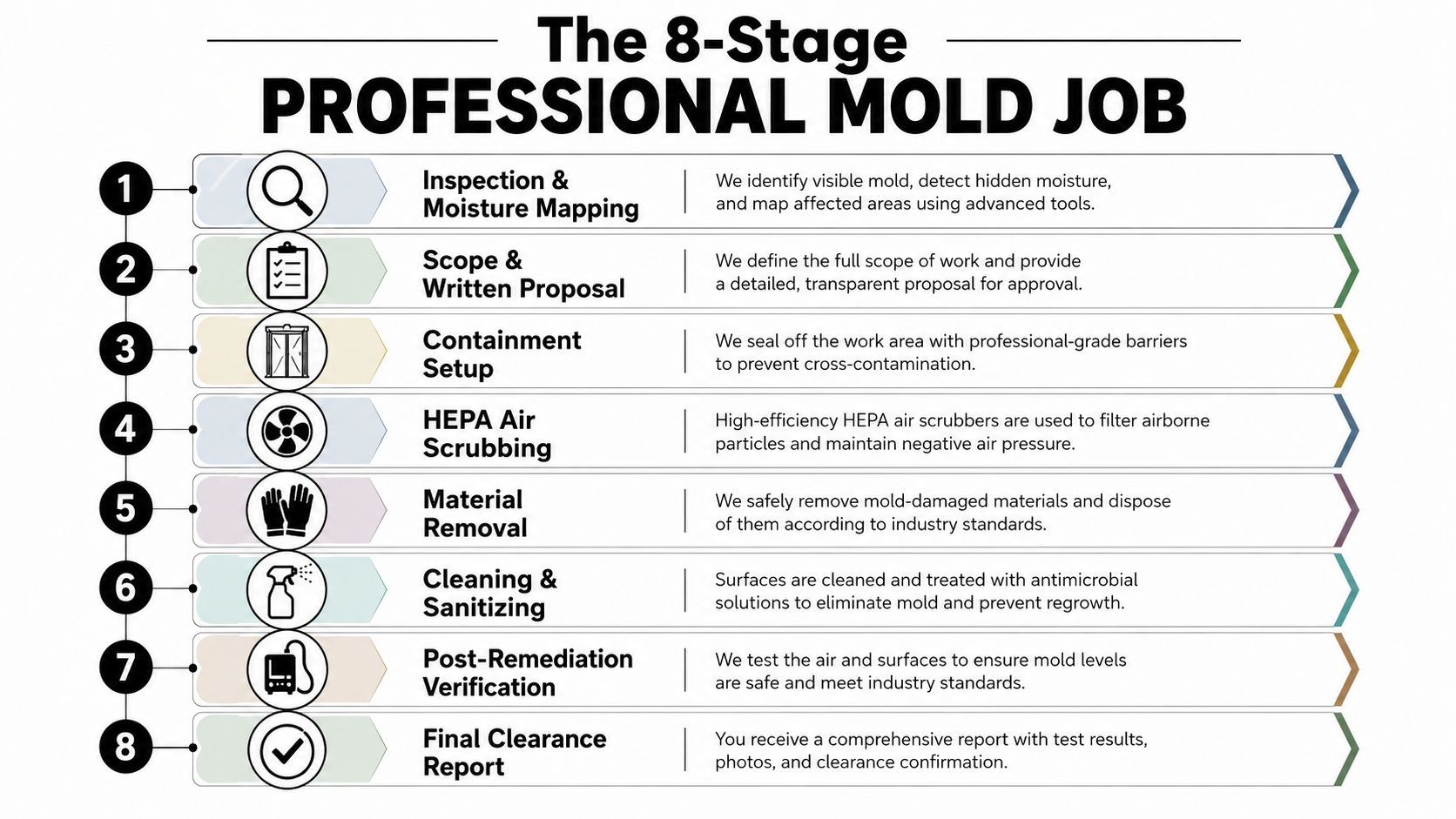 An infographic illustrating the eight stages of a professional mold remediation process from inspection to final report.