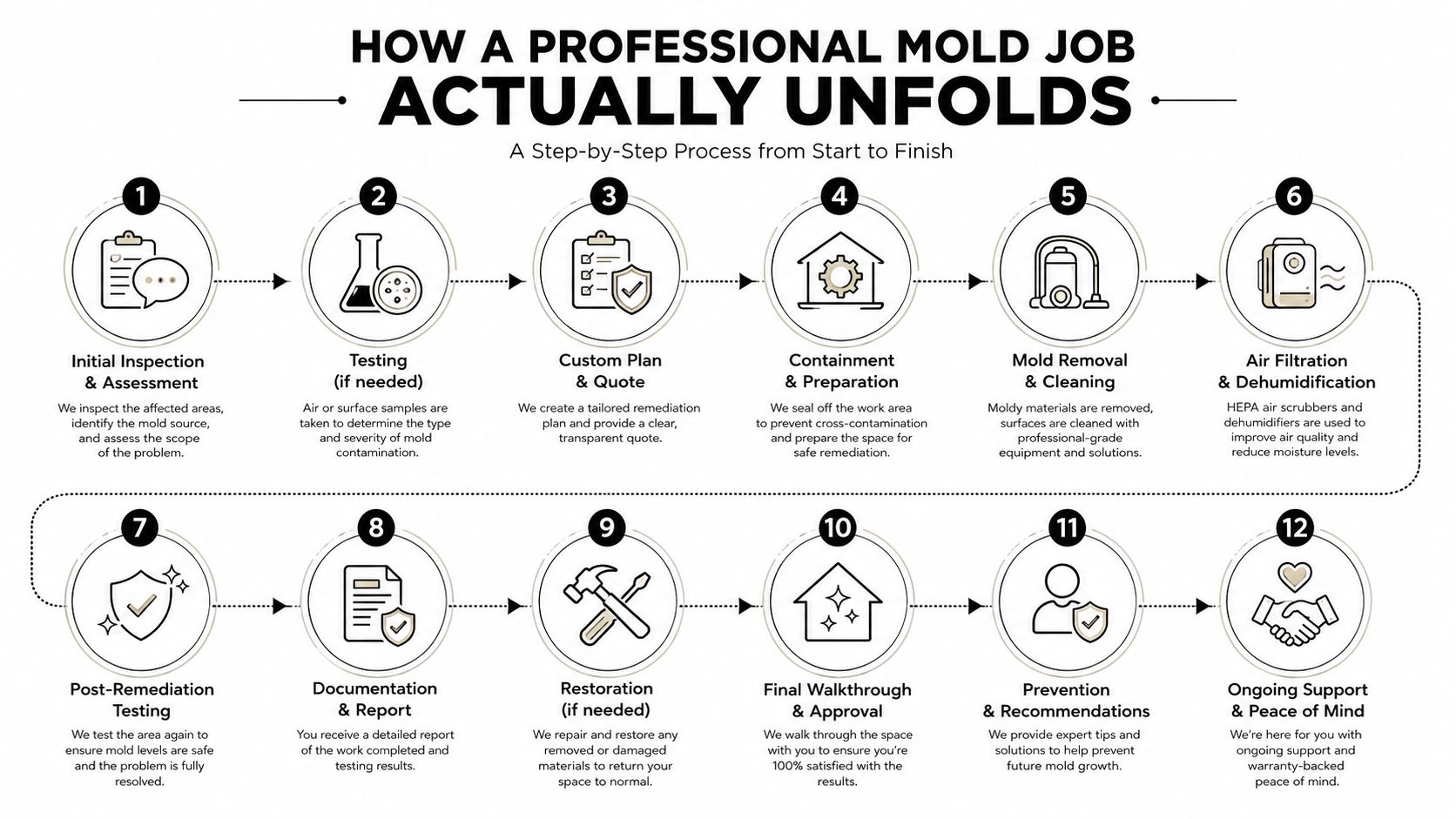 A 12-step infographic detailing the professional mold remediation process from initial inspection to final support and restoration.