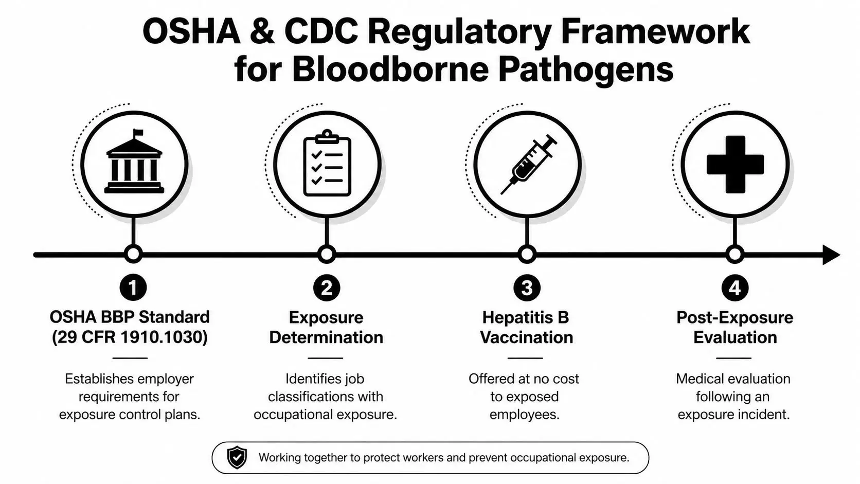 A diagram outlining the OSHA and CDC regulatory framework for managing bloodborne pathogens in the workplace.