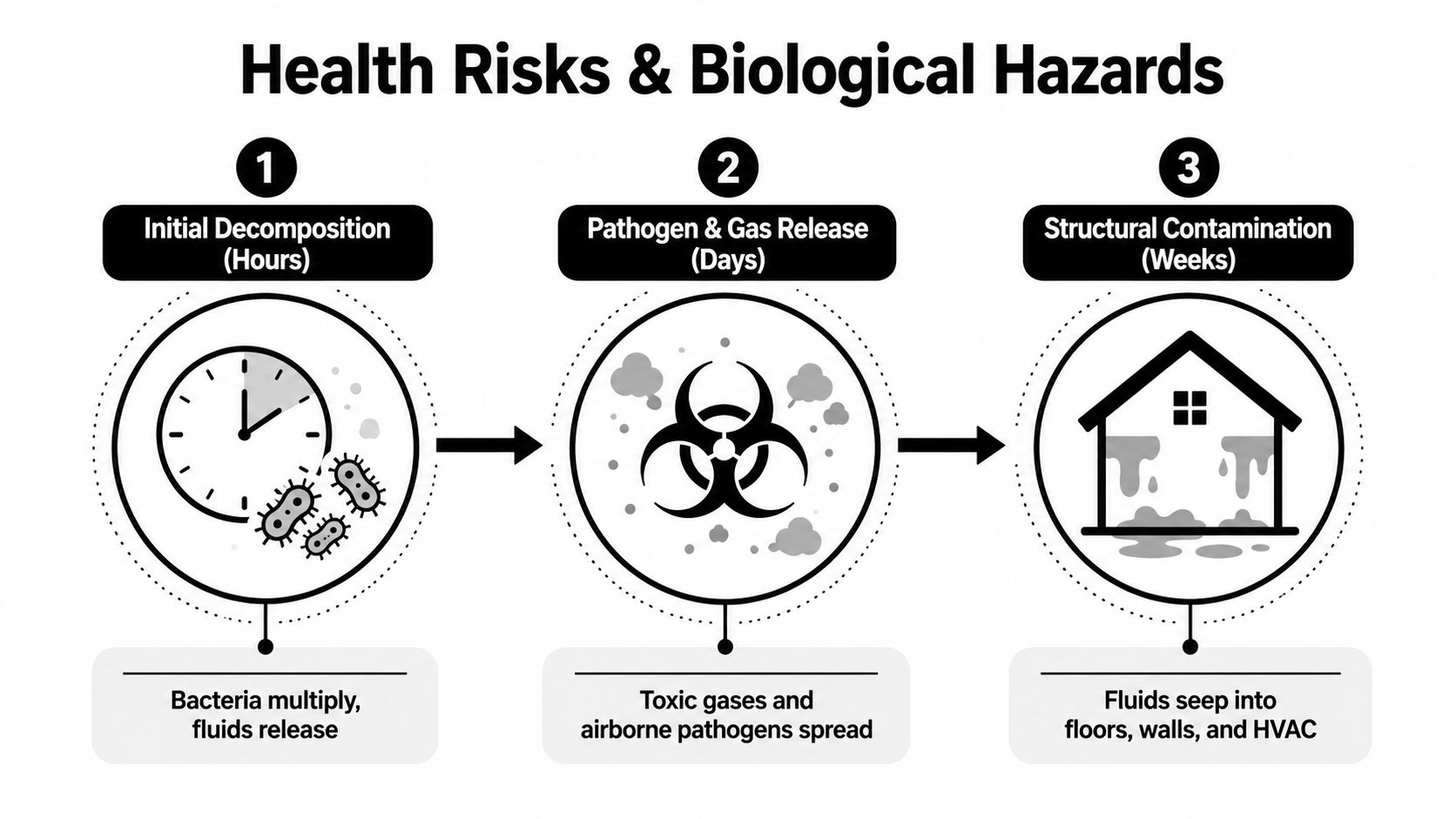 A diagram illustrating the health risks and biological hazards of decomposition stages over time.