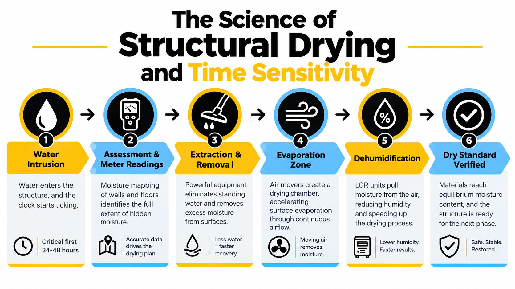 An infographic illustrating the six-step process of structural water damage drying, including assessment, extraction, and dehumidification.