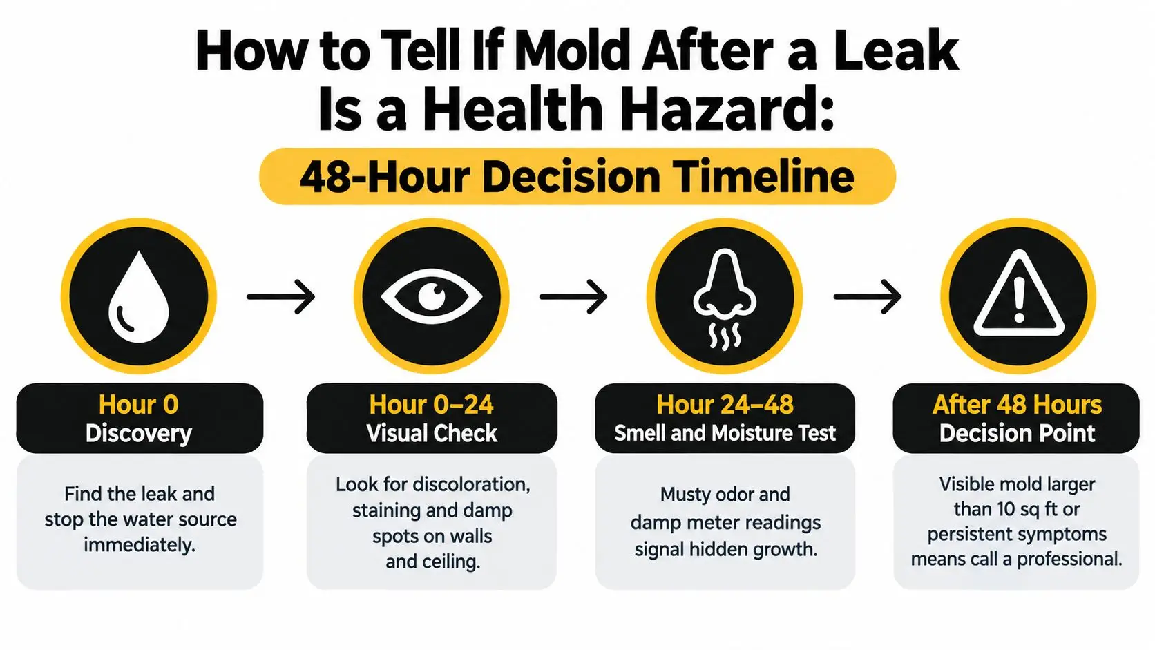 A 48-hour timeline infographic explaining how to identify and address potential mold hazards after water leaks.