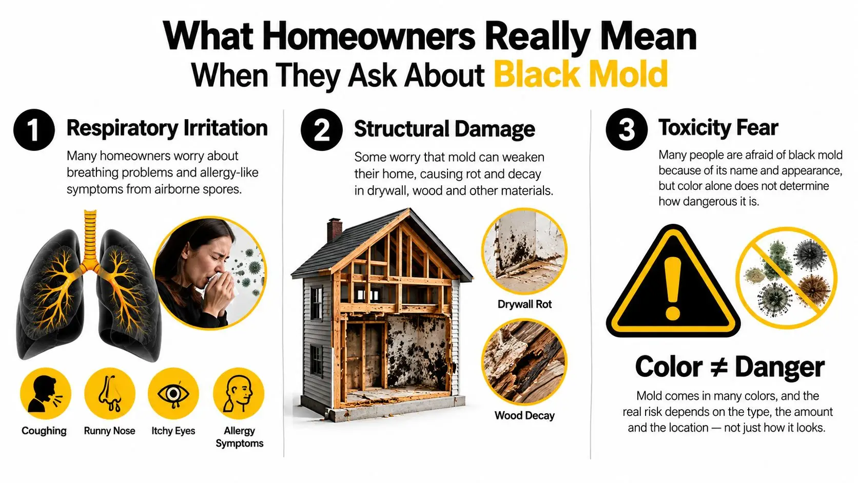 An infographic titled What Homeowners Really Mean When They Ask About Black Mold showing health and structural risks.