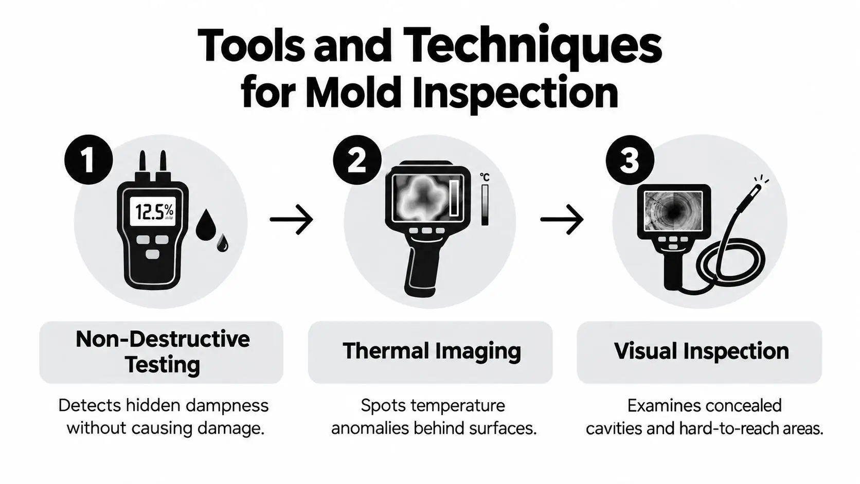A diagram illustrating three key tools for mold inspection: moisture meters, thermal imaging cameras, and boroscopes.