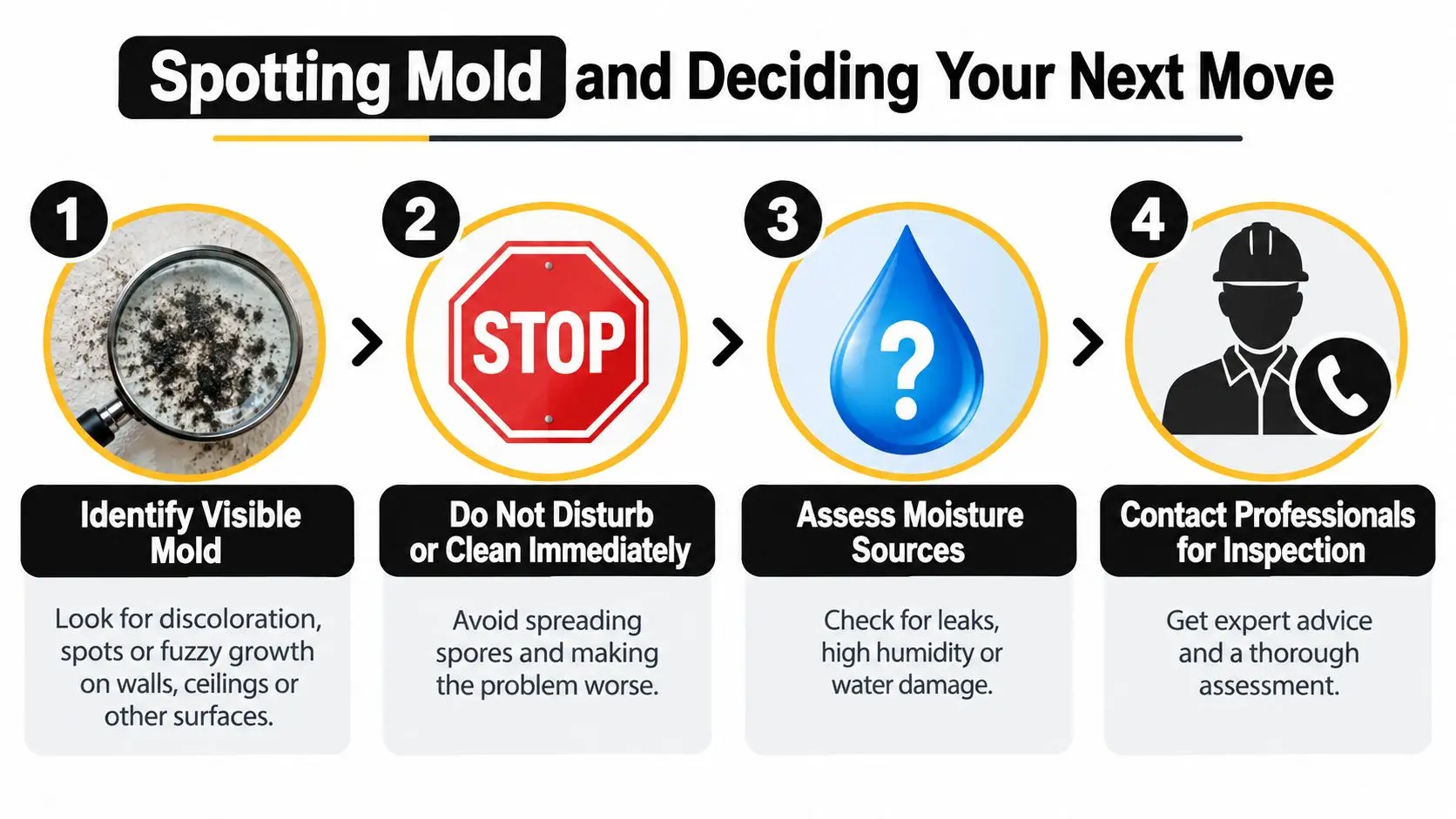 A four-step guide on how to spot mold and take the appropriate next steps for remediation.
