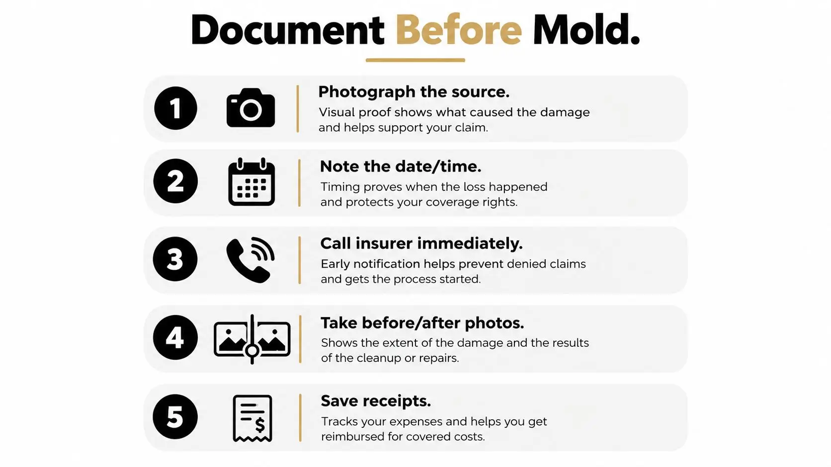 A checklist infographic titled Document Before Mold, showing five steps to follow for insurance claims.