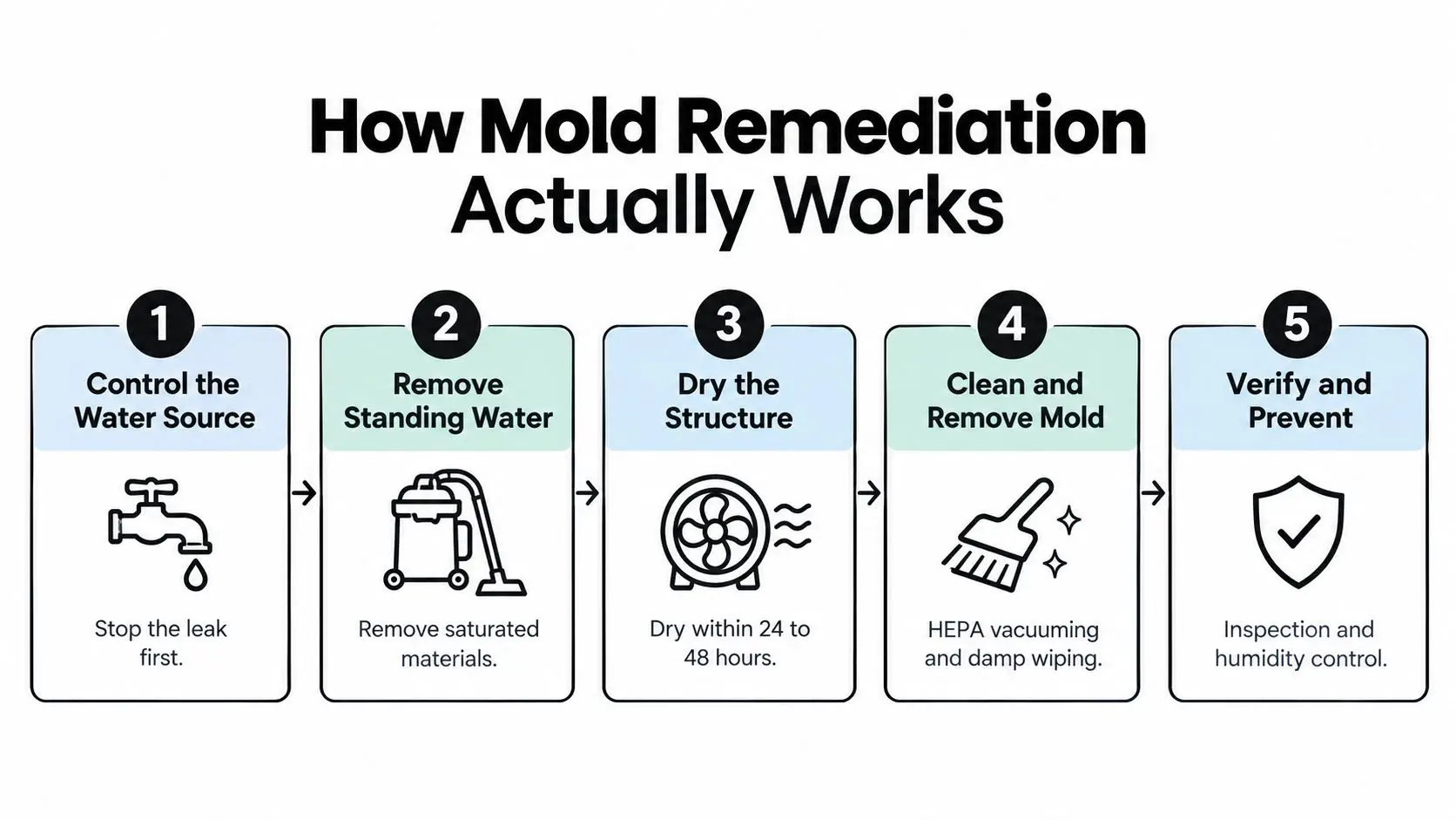 A five-step infographic explaining the professional mold remediation process from water source control to prevention.
